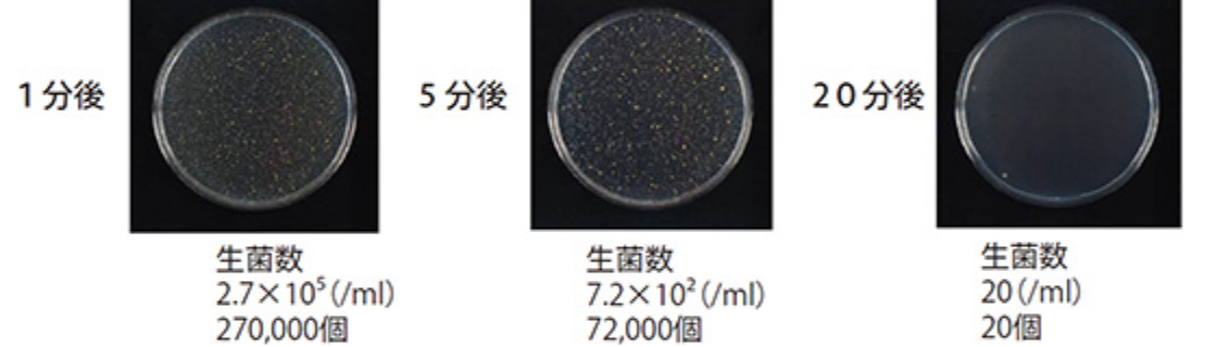 黄色ブドウ球菌に対する「岩の力」の殺菌効果試験